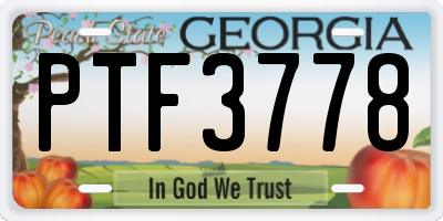 GA license plate PTF3778