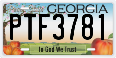 GA license plate PTF3781