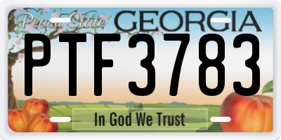 GA license plate PTF3783