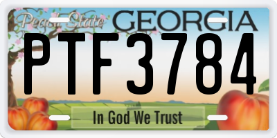 GA license plate PTF3784