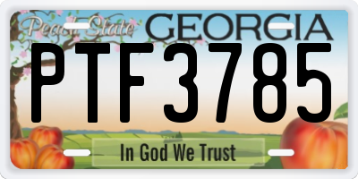 GA license plate PTF3785
