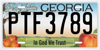 GA license plate PTF3789
