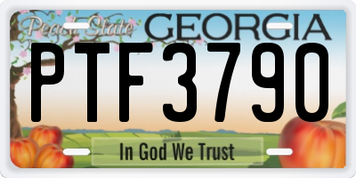 GA license plate PTF3790