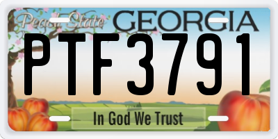 GA license plate PTF3791