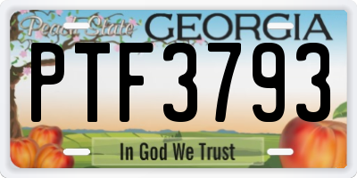 GA license plate PTF3793