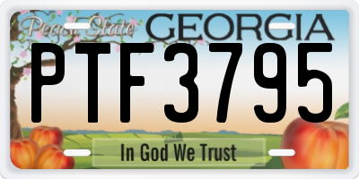GA license plate PTF3795