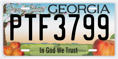 GA license plate PTF3799