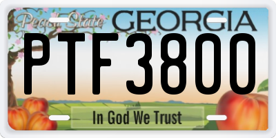 GA license plate PTF3800