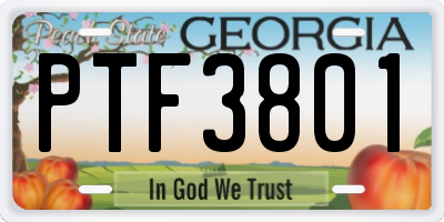 GA license plate PTF3801