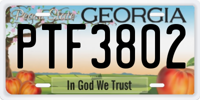GA license plate PTF3802