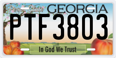 GA license plate PTF3803