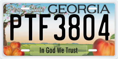 GA license plate PTF3804