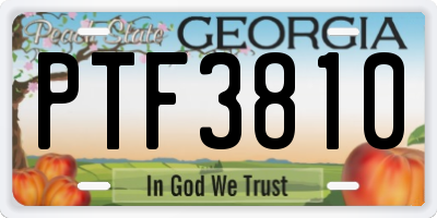 GA license plate PTF3810