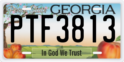 GA license plate PTF3813