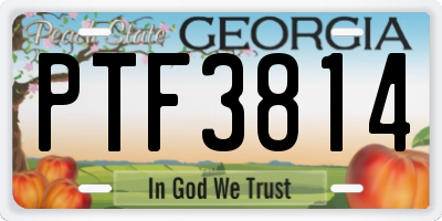 GA license plate PTF3814