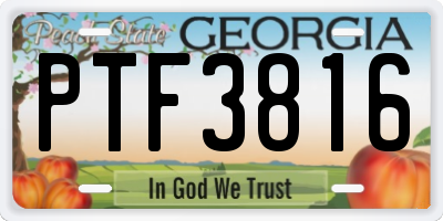 GA license plate PTF3816