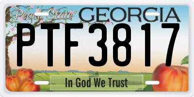 GA license plate PTF3817