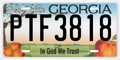 GA license plate PTF3818