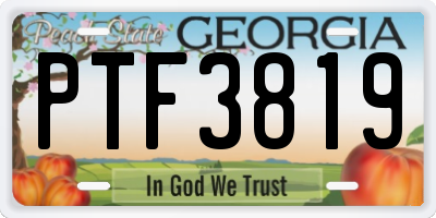 GA license plate PTF3819