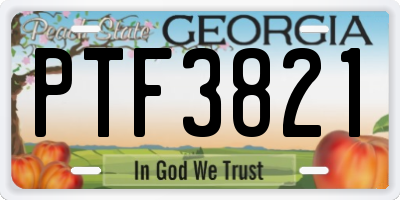 GA license plate PTF3821