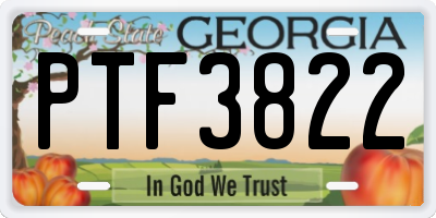 GA license plate PTF3822