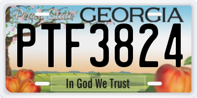 GA license plate PTF3824