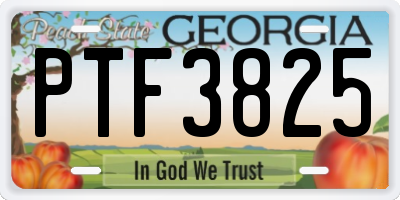 GA license plate PTF3825