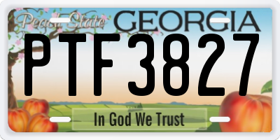 GA license plate PTF3827