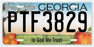 GA license plate PTF3829