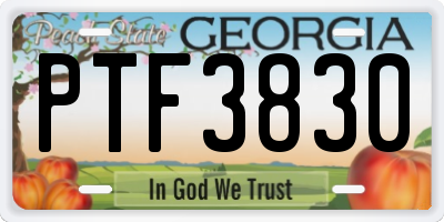 GA license plate PTF3830