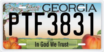GA license plate PTF3831