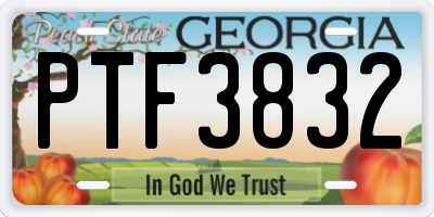 GA license plate PTF3832