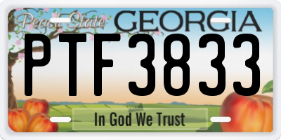 GA license plate PTF3833