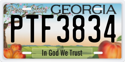 GA license plate PTF3834
