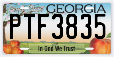 GA license plate PTF3835