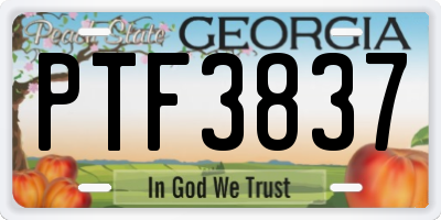GA license plate PTF3837