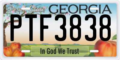GA license plate PTF3838