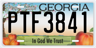 GA license plate PTF3841
