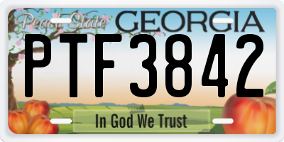 GA license plate PTF3842