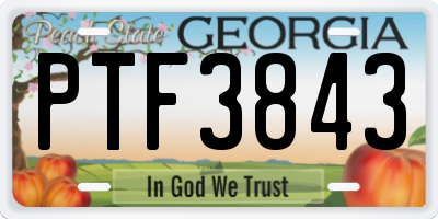 GA license plate PTF3843