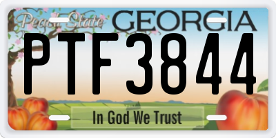 GA license plate PTF3844