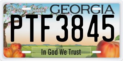 GA license plate PTF3845