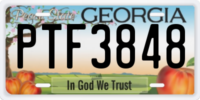 GA license plate PTF3848