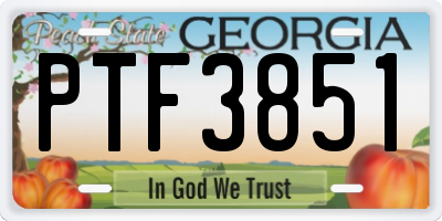 GA license plate PTF3851