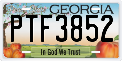 GA license plate PTF3852