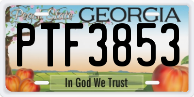 GA license plate PTF3853
