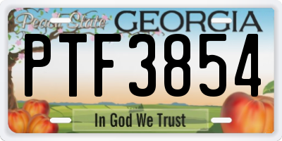 GA license plate PTF3854