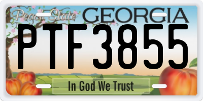 GA license plate PTF3855