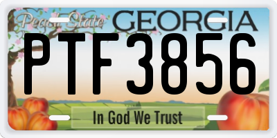 GA license plate PTF3856