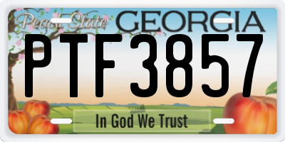 GA license plate PTF3857
